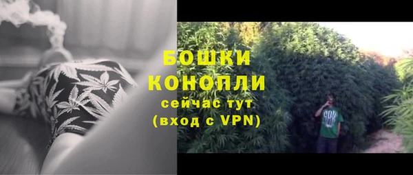 крисы Беломорск