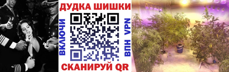 Каннабис AK-47  Горячеводский 